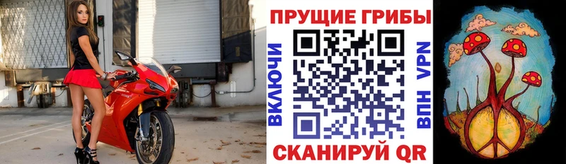 Псилоцибиновые грибы мухоморы  Ачинск 