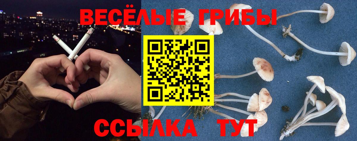 Галлюциногенные грибы Psilocybine cubensis  Вход с VPN  Ачинск 